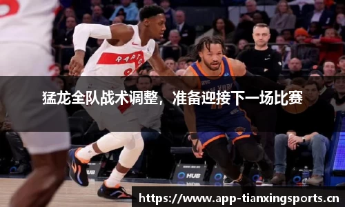 猛龙全队战术调整，准备迎接下一场比赛
