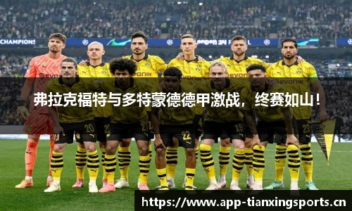 弗拉克福特与多特蒙德德甲激战，终赛如山！