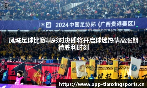 凤城足球比赛精彩对决即将开启球迷热情高涨期待胜利时刻