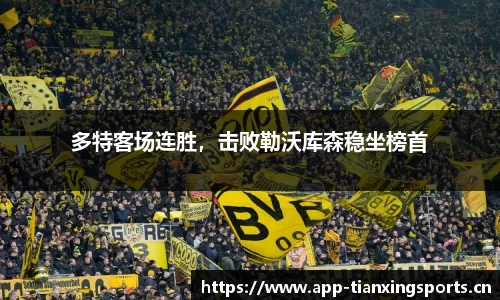 多特客场连胜，击败勒沃库森稳坐榜首