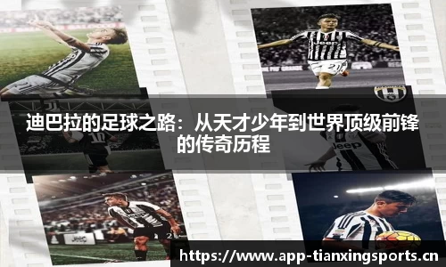 天行体育官网